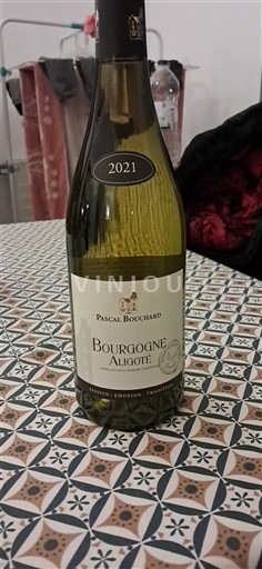 Bourgogne Bourgogne-aligoté Pascal Bouchard 2021