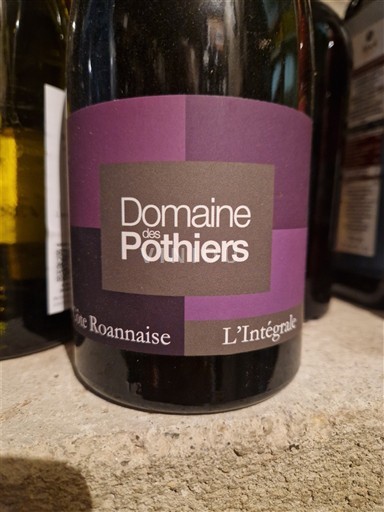 Rượu vang Rouge sec L'Intégrale Domaine S Pothiers 2019 Pháp Thung lũng sông Loire Côte-roannaise AOC