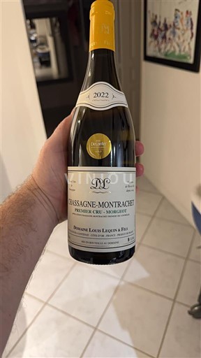 Burgundy Not Specified Premier Cru Domaine Louis Lequin & Fils 2022