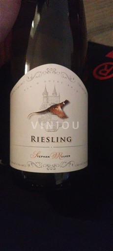 Alsace Stephan Muller 2024