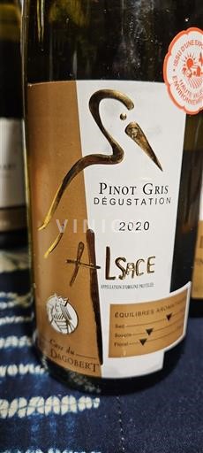 Alsace Alsace Grand Cru Cave du Roi Dagobert Dégustation 2020