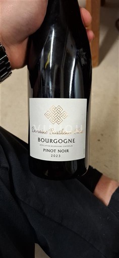 Bourgondië Bourgogne Domaine Bouthenot 2023