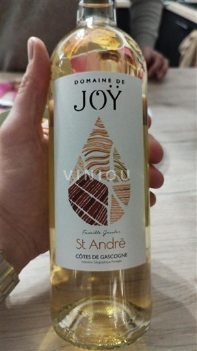 Sudoeste Côtes de Gascogne Domaine Joy St André 2024