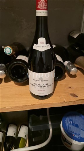 Burgund Nicht spezifiziert Nuiton-Beaunoy 2022