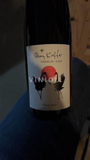 Alsacia Rémy Kieffer 2024