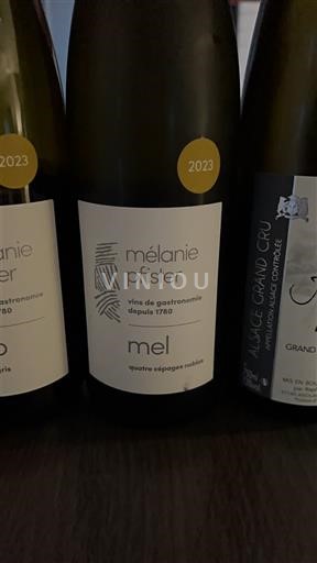 Alsacia Mélanie Pfister mel 2023