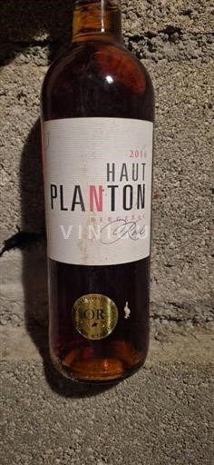 Bordeaux Bordo rose Haut Planton 2016
