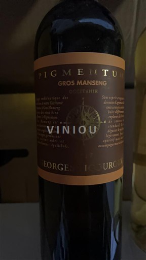 Tây Nam Côtes de Gascogne Georges Vigouroux Pigmentum Gros Manseng 2017