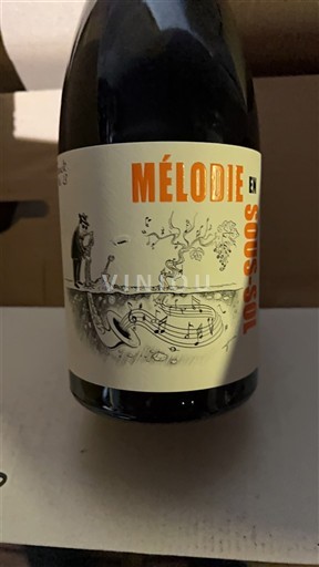 Valle della Loira Jasnières Domaine S Bellivière Mélodie en sous-sol 2022