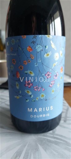 Languedoc Dourbie Marius 2023