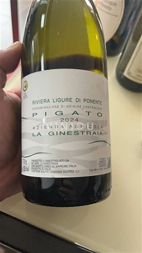 Ligurian maakunta Ponente Ligurian Riviera Azienda Agricola La Ginestraia Pigato 2024