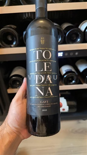 Piemont Gavi La Toledana 2023
