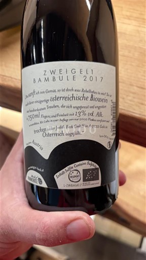 Wines Rouge sec Bambule! Zweigelt Gut Oggau 2017 Austria Burgenland Not Specified