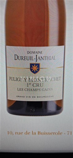 Bourgogne Ospecificerad Premier Cru Domaine Reuil-Janthial Les Champs Gains 2022