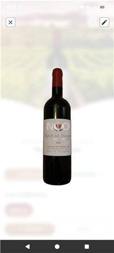 Bordeaux Saint-Émilion Grand Cru Fleur de Jaugue 2015