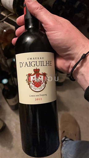 Bordeaux Castillon Côtes de Bordeaux Château Aiguilhe 2012