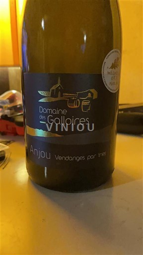 Vallée de la Loire Anjou Domaine Des GalloIres Vendanges par Tries 2022