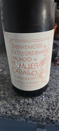 Valencia Comunidad La Mujer Caballo 2021