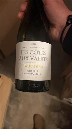 Loire-dalen Sancerre Famille Bourgeois Les Côtes aux Valets 2020