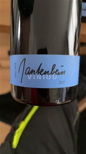 Alsacia Jantenbein 2017