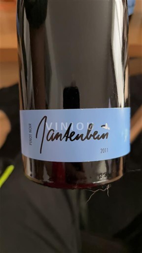 Alsacia Janßenßen 2011