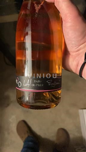 Valle della Loira Chinon Domaine Brocourt Bulle de Plaisir Senza annata