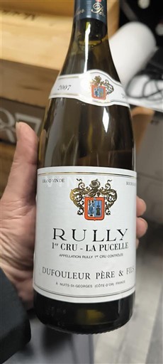 Bourgogne Premier Cru Dufouleur Père & Fils La Pucelle 2017