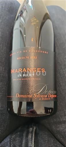 Burgundsko Maranges Domaine Sylvain Depiesse En Buliet 2022