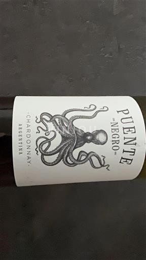 Mendoza Puente Negro 2020