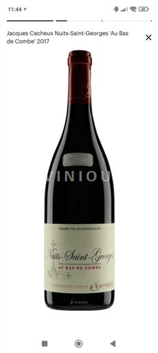 Burgundija Nuits-Saint-Georges Jacques Cacheux Au Bas de Combe 2017