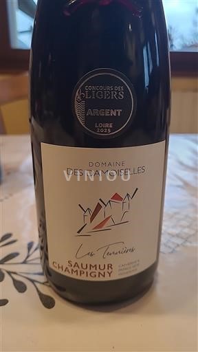 Loire-dalen Saumur-Champigny Domaine S Damoiselles Les Tannières Ikke årgangsbestemt