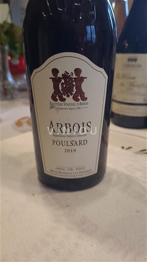 Jura Arbois Fruitière Vinicole d’Arbois Poulsard 2019