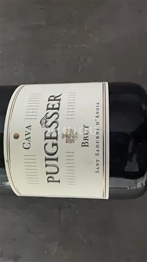 Katalonien Cava Puigesser Icke årgångsbetecknad