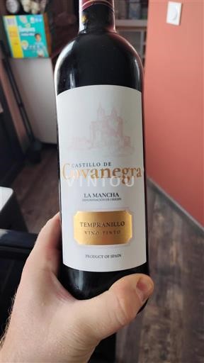 Castilla-La Mancha La Mancha Castillo de Covanegra 2021