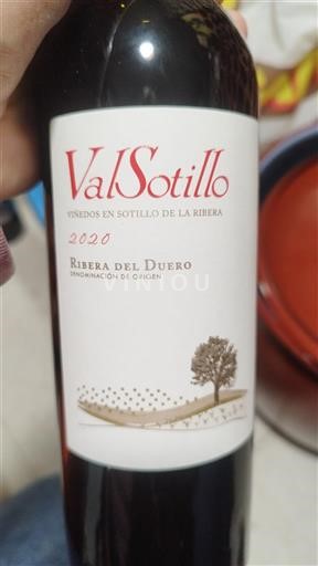 Castilien og León Ribera del Duero ValSotillo 2020