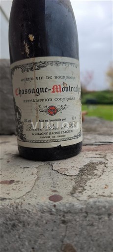 Bourgogne Chassagne-Montrachet Doudet-Naudin Icke årgångsbetecknad