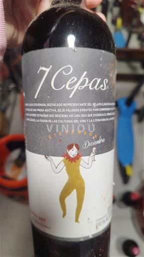 La Rioja 7 Cepas Stevenson Diciembre 2017