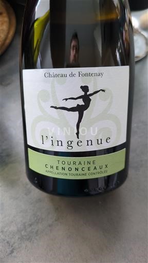 Valle della Loira Touraine-chenonceaux Château Fontenay l’ingénue 2024