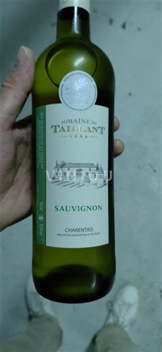 Aquitaine và Charentes Charentais Domaine Taillan Sauvignon Không niên vụ