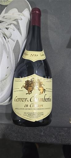 Burgundi Gevrey-Chambertin Domaine Sérafin Père et Fils En Champs 2019