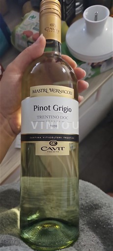 Tridentsko-Horní Adiže Nespecifikováno Cavit Mastri Vernacoli 2020