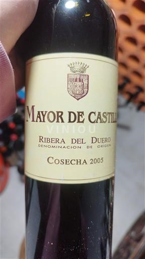 Castilien og León Ribera del Duero Mayor de Castilla 2005