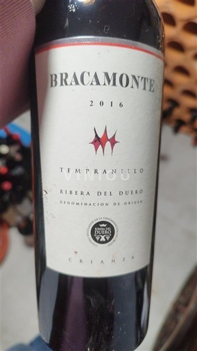 Castilien og León Ribera del Duero Bracamonte Crianza 2016