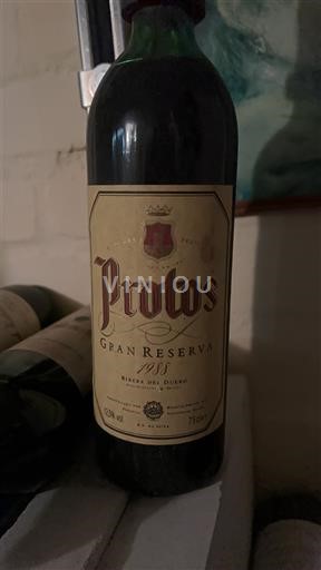 Castilien og León Ribera del Duero Protos Gran Reserva 1988