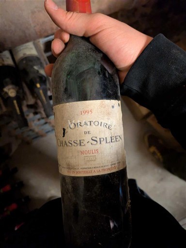 Bordeaux Moulis-en-Médoc Oratoire de Chasse-Spleen 1995