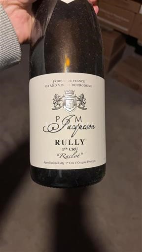 Bourgogne Rully Premier Cru P. & M. Jacqueson Raclot 2019