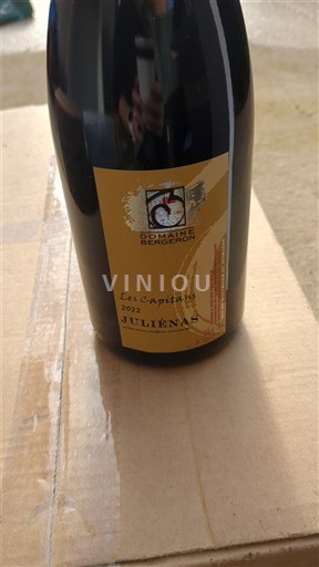 Beaujolais Juliénas Domaine Bergeron Les Capitans 2022