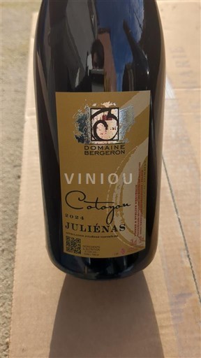 Beaujolais Juliénas Domaine Bergeron Coteau 2024
