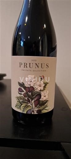 Rượu vang Rouge sec Private Selection Prunus Non millésimé Bồ Đào Nha Bồ Đào Nha Dão DOC
