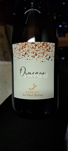 Loire-dalen Saumur Domaine Haut Bellay Ormeaux 2022
